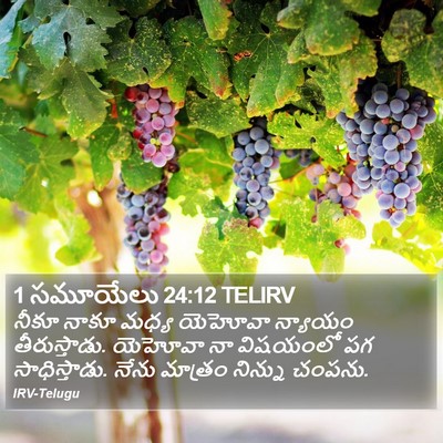 1 సమూయేలు 24:12 TELIRV Bible Verse Image
