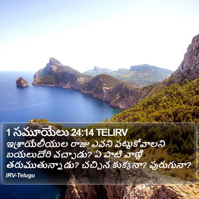 1 సమూయేలు 24:14 TELIRV Bible Verse Image
