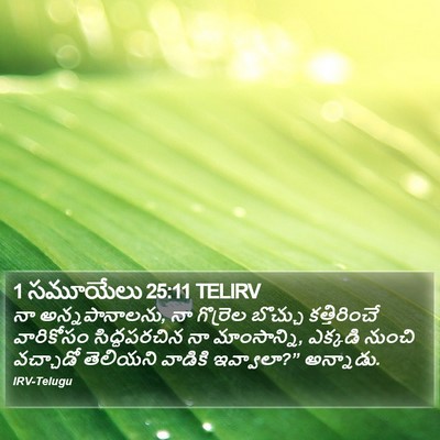 1 సమూయేలు 25:11 TELIRV Bible Verse Image