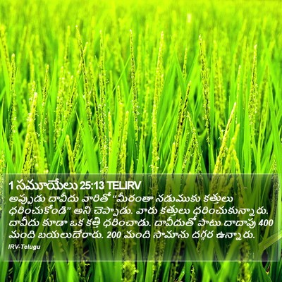 1 సమూయేలు 25:13 TELIRV Bible Verse Image