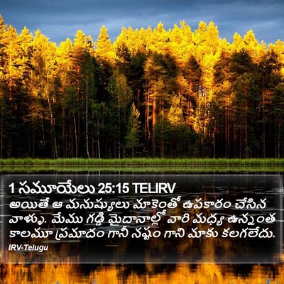 1 సమూయేలు 25:15 TELIRV Bible Verse Image