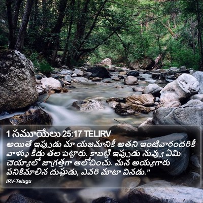 1 సమూయేలు 25:17 TELIRV Bible Verse Image