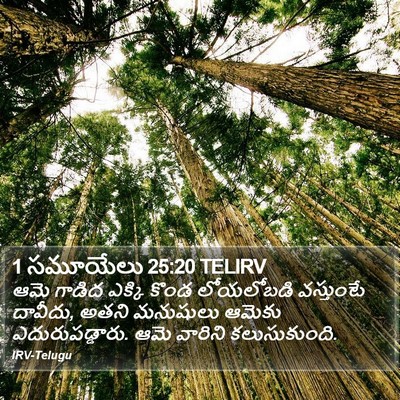 1 సమూయేలు 25:20 TELIRV Bible Verse Image