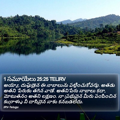 1 సమూయేలు 25:25 TELIRV Bible Verse Image