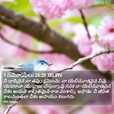 1 సమూయేలు 25:28 TELIRV Bible Verse Image
