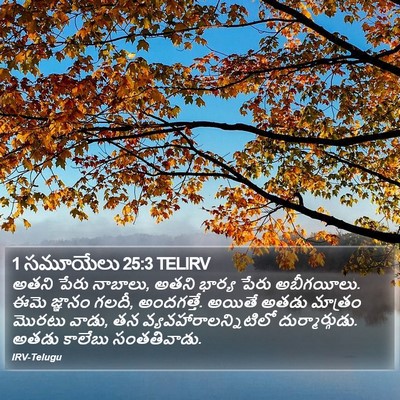 1 సమూయేలు 25:3 TELIRV Bible Verse Image