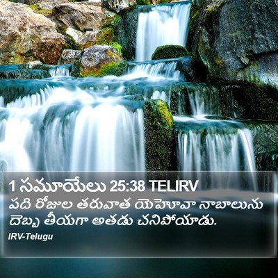 1 సమూయేలు 25:38 TELIRV Bible Verse Image