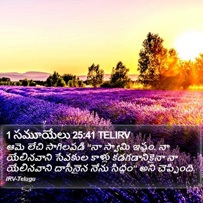 1 సమూయేలు 25:41 TELIRV Bible Verse Image