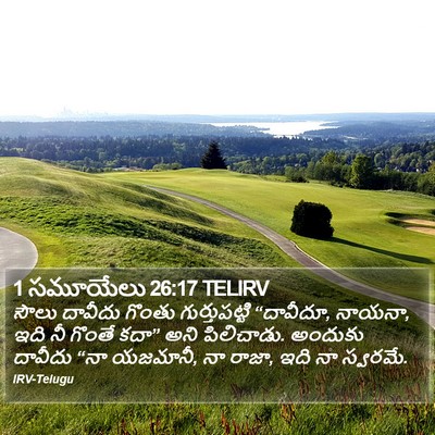 1 సమూయేలు 26:17 TELIRV Bible Verse Image