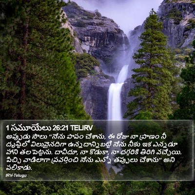 1 సమూయేలు 26:21 TELIRV Bible Verse Image