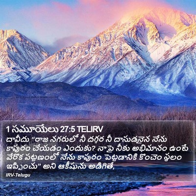 1 సమూయేలు 27:5 TELIRV Bible Verse Image