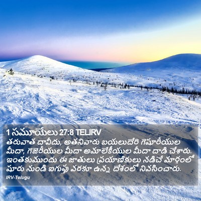 1 సమూయేలు 27:8 TELIRV Bible Verse Image
