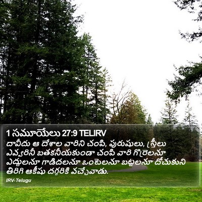 1 సమూయేలు 27:9 TELIRV Bible Verse Image