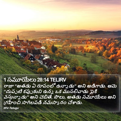 1 సమూయేలు 28:14 TELIRV Bible Verse Image