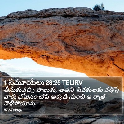 1 సమూయేలు 28:25 TELIRV Bible Verse Image