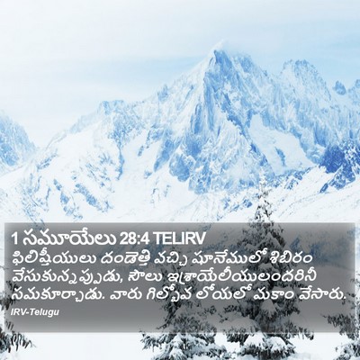 1 సమూయేలు 28:4 TELIRV Bible Verse Image