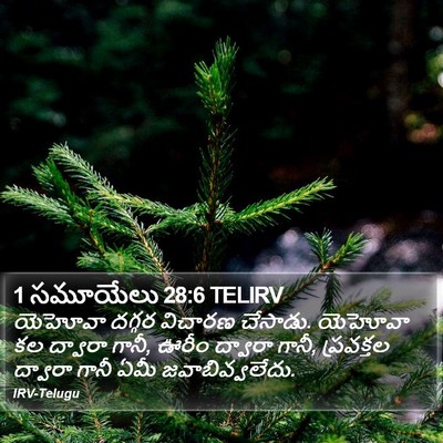 1 సమూయేలు 28:6 TELIRV Bible Verse Image