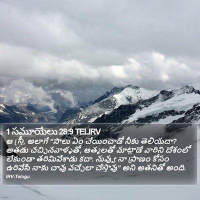 1 సమూయేలు 28:9 TELIRV Bible Verse Image
