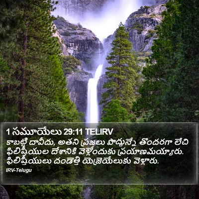 1 సమూయేలు 29:11 TELIRV Bible Verse Image