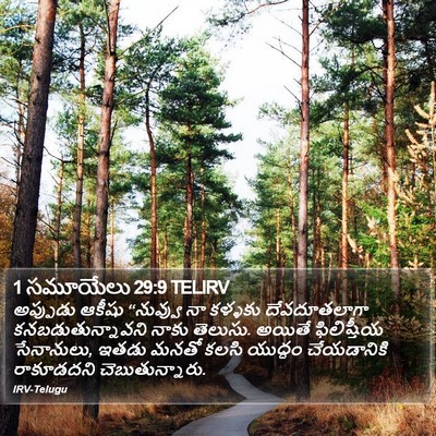 1 సమూయేలు 29:9 TELIRV Bible Verse Image