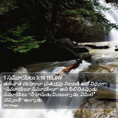 1 సమూయేలు 3:10 TELIRV Bible Verse Image