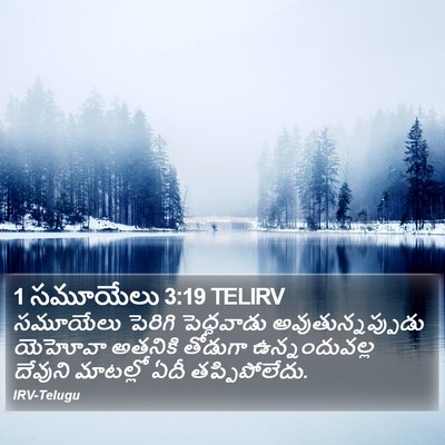 1 సమూయేలు 3:19 TELIRV Bible Verse Image