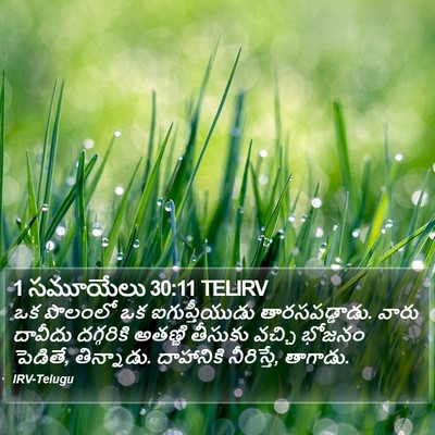 1 సమూయేలు 30:11 TELIRV Bible Verse Image