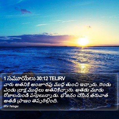 1 సమూయేలు 30:12 TELIRV Bible Verse Image