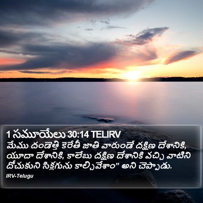 1 సమూయేలు 30:14 TELIRV Bible Verse Image