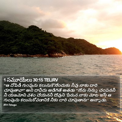 1 సమూయేలు 30:15 TELIRV Bible Verse Image