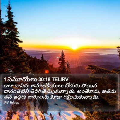 1 సమూయేలు 30:18 TELIRV Bible Verse Image