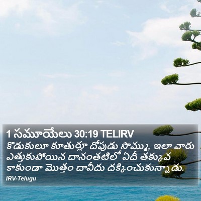 1 సమూయేలు 30:19 TELIRV Bible Verse Image
