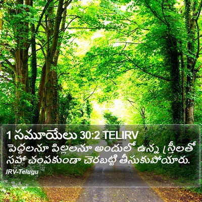 1 సమూయేలు 30:2 TELIRV Bible Verse Image