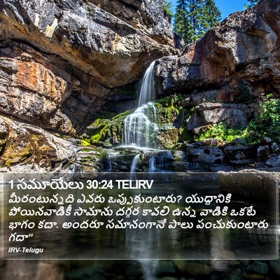 1 సమూయేలు 30:24 TELIRV Bible Verse Image