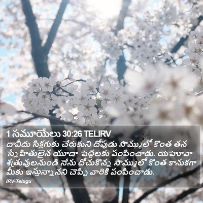 1 సమూయేలు 30:26 TELIRV Bible Verse Image