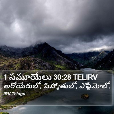 1 సమూయేలు 30:28 TELIRV Bible Verse Image