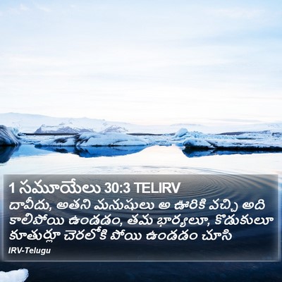 1 సమూయేలు 30:3 TELIRV Bible Verse Image