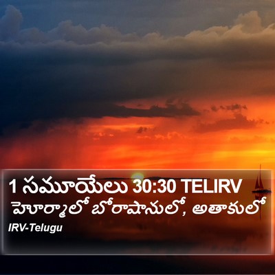1 సమూయేలు 30:30 TELIRV Bible Verse Image