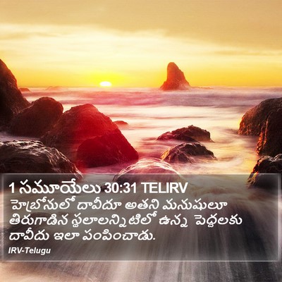 1 సమూయేలు 30:31 TELIRV Bible Verse Image