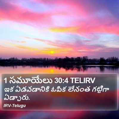 1 సమూయేలు 30:4 TELIRV Bible Verse Image