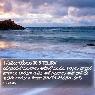 1 సమూయేలు 30:5 TELIRV Bible Verse Image