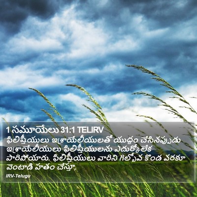 1 సమూయేలు 31:1 TELIRV Bible Verse Image