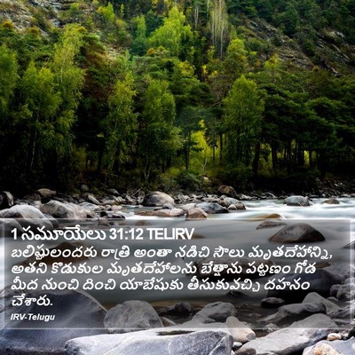 1 సమూయేలు 31:12 TELIRV Bible Verse Image