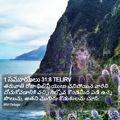 1 సమూయేలు 31:8 TELIRV Bible Verse Image