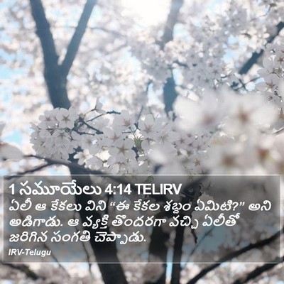 1 సమూయేలు 4:14 TELIRV Bible Verse Image