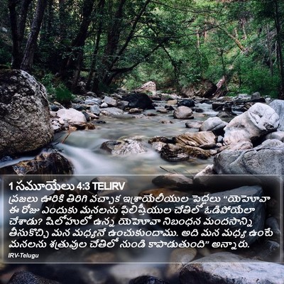 1 సమూయేలు 4:3 TELIRV Bible Verse Image