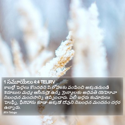 1 సమూయేలు 4:4 TELIRV Bible Verse Image