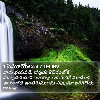1 సమూయేలు 4:7 TELIRV Bible Verse Image