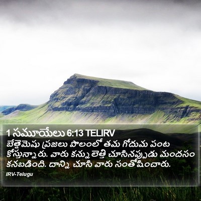 1 సమూయేలు 6:13 TELIRV Bible Verse Image