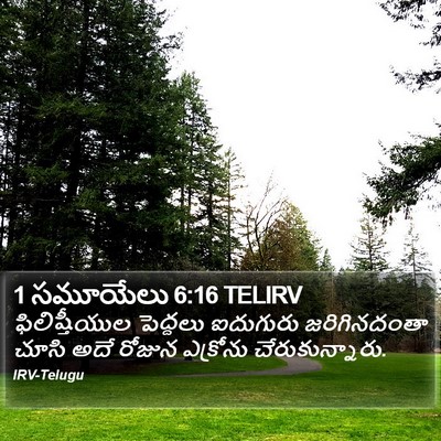 1 సమూయేలు 6:16 TELIRV Bible Verse Image
